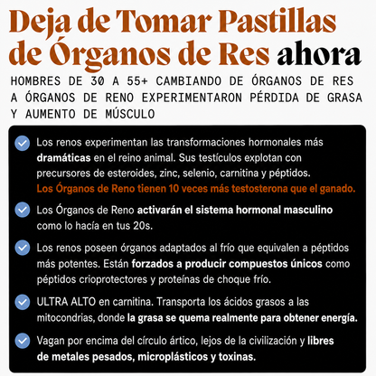 Potenciador Natural de Testosterona