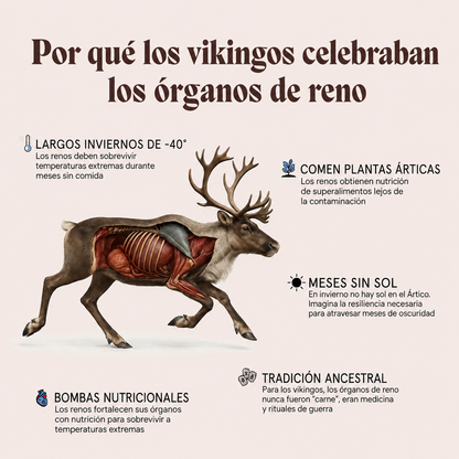 Potenciador Natural de Testosterona
