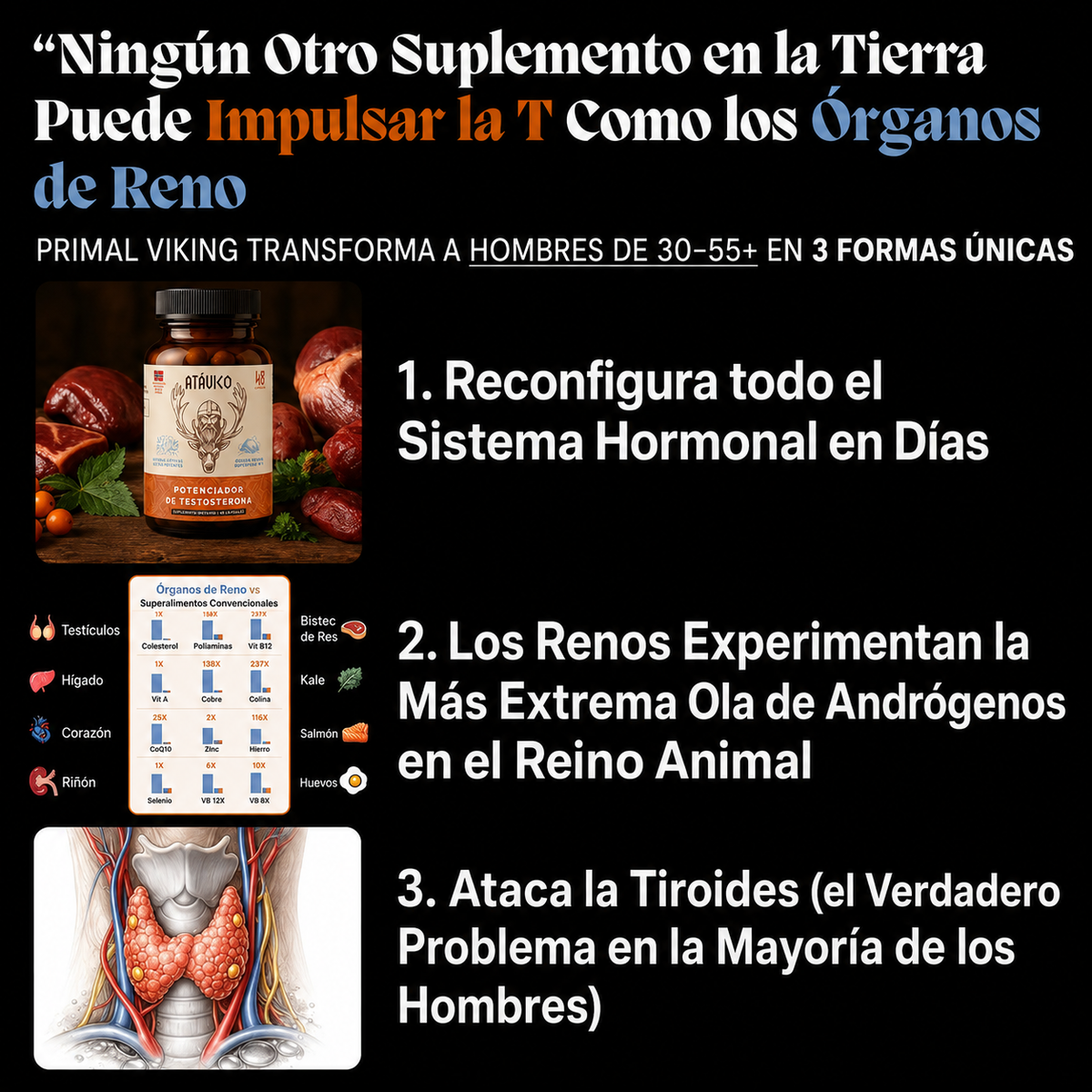 Potenciador Natural de Testosterona