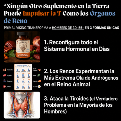 Potenciador Natural de Testosterona